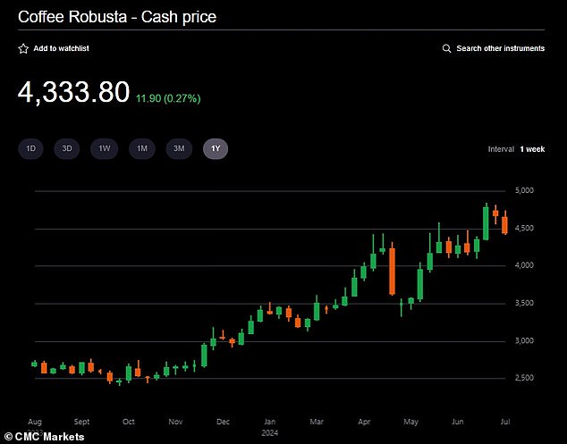 Rising prices: London robusta futures peaked at $4,846.70 per tonne in July, up as much as 81.7 percent from a low of $2,652.60 12 months ago