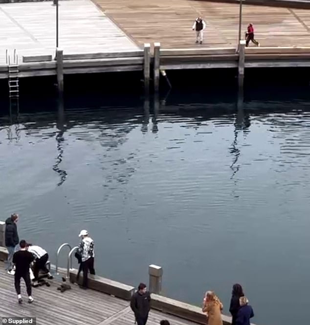 The owner (pictured in red on the other side of the water) ran to her dog after the woman handed him over to dry off by witnesses