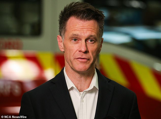 New South Wales Premier Chris Minns (pictured) has ordered all civil servants to return to their offices from Tuesday.