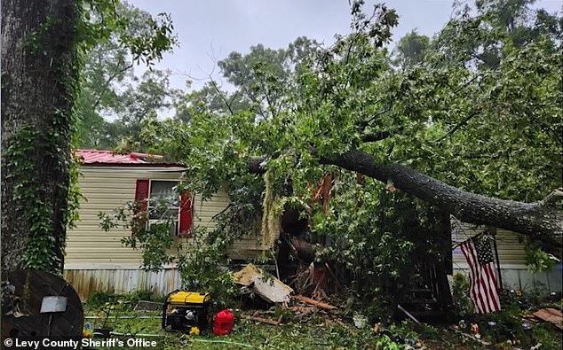 Pictured: A tree fell on the home of a 13-year-old boy. The trunk fatally crushed him. He was the first to lose his life to the hurricane