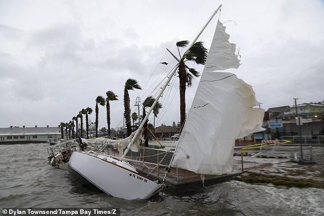 Sailboats docked in Tampa Bay are pictured unmoored and crashing into the seawall.