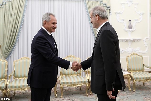 Iranian President Masoud Pezeshkian (R) meets with Russian Security Council Secretary Sergei Shoigu (L) in Tehran, Iran, August 5, 2024