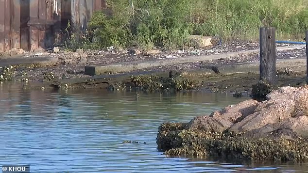 The photo shows the shallow waters Bunch was wading in when he became infected with the bacteria.