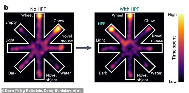 As this heatmap shows, the mice spent less time eating their usual food when the milkshake was added (right), but spent the same amount of time exercising.