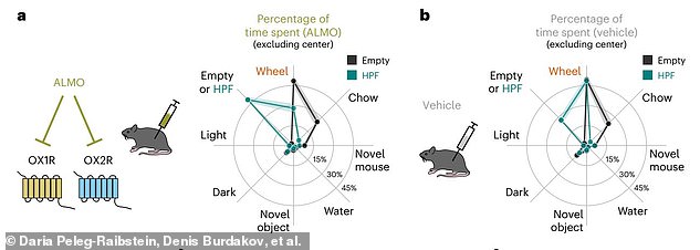 When the mice's oxerine systems were inhibited, adding the strawberry milkshake caused the mice to spend much less time moving and more time eating. This graph shows where the mice spent most of their time