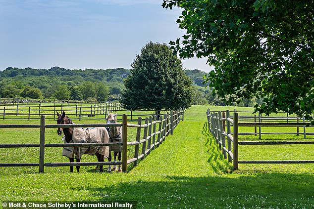 In total, the estate has two horse stables, with space for many horses