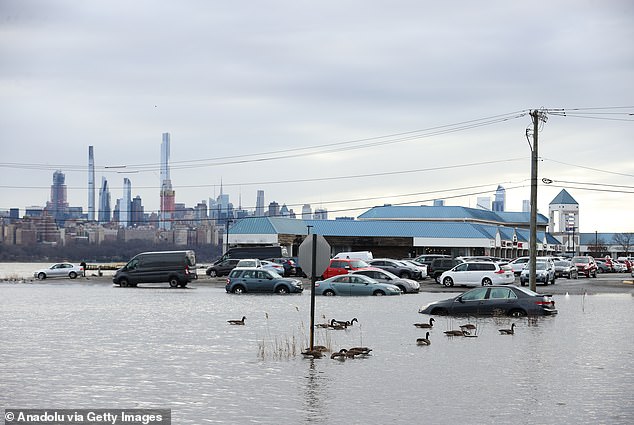 High water stranded cars and left residents unable to leave their homes in Edgewater, New Jersey, earlier this year. The Garden State is poised to experience worse flooding in the coming decades.