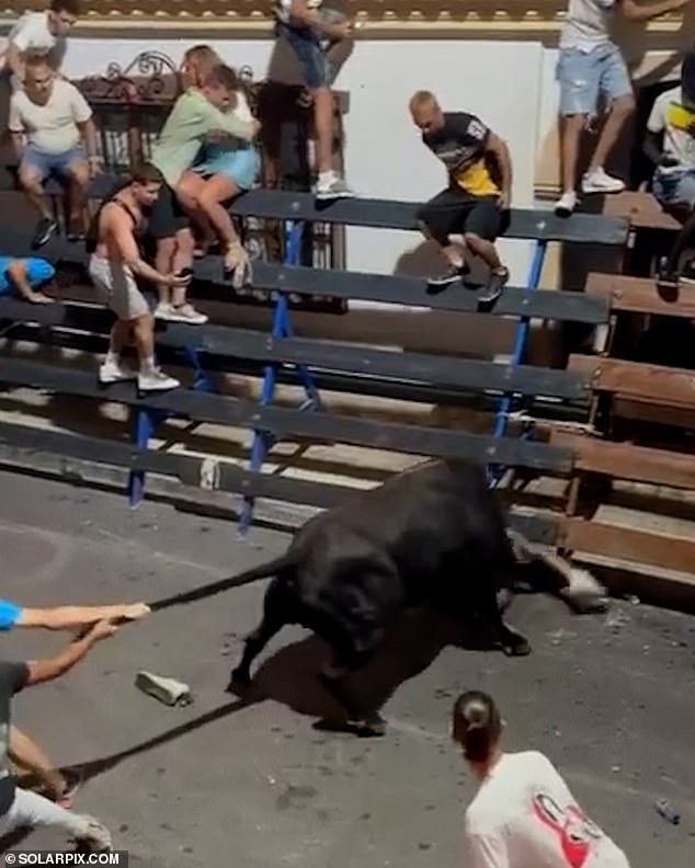 Gruesome scenes showed spectators pulling the bull's tail as it charged