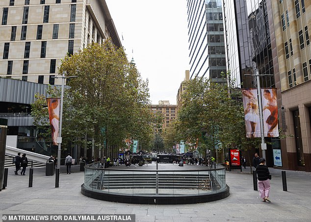 NSW government workers who don't want to go to the office five days a week have been urged to move south of the border. Pictured is a deserted Sydney CBD