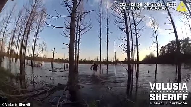 The sheriff jumps into the pond and runs to the young man