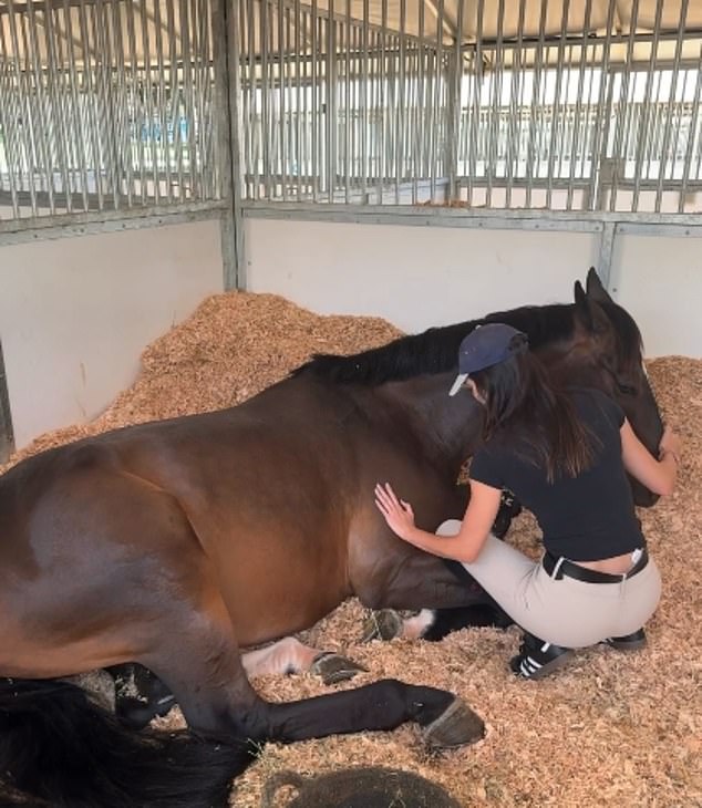 Wearing a black t-shirt with khaki pants this time, she was also seen spending time with her horse in the stable in a video at the end of her slide. She gently comforted and petted her horse before giving the animal a sweet kiss