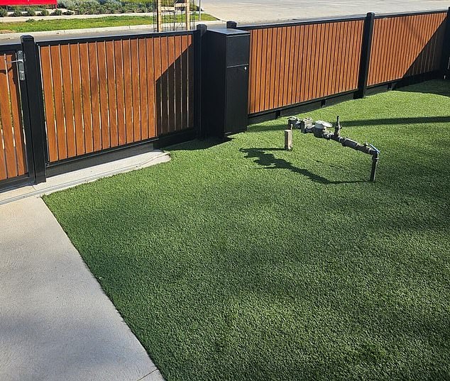 The artificial grass (pictured) that Mr Yusof had professionally installed and that he is required to remove by his local council