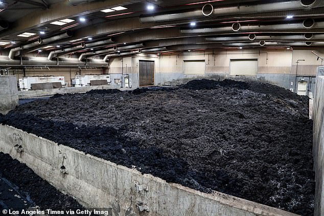 Pictured: Biosludge is stored in a warehouse in Kettleman City, California, ready to be mixed with wood chips