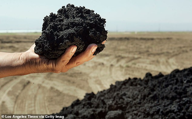 Biosolid fertilizer, pictured, often looks like regular fertilizer. Its only difference is that it is composed of human waste and PFAS, also known as forever chemicals.