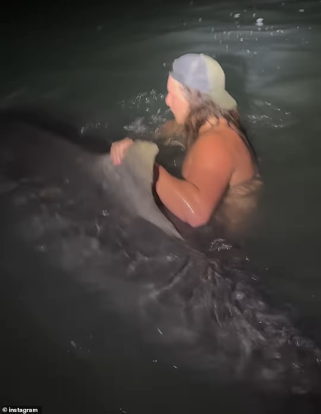 In another video Carson shared, the daredevil can be seen holding onto the tiger shark's fin as he wades through the water.