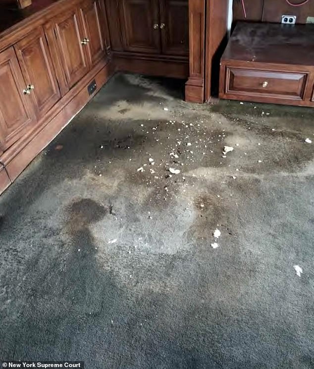 The carpet shows stains and mold