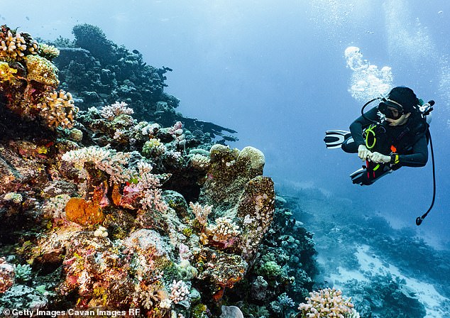 The Great Barrier Reef attracts more than two million tourists each year.