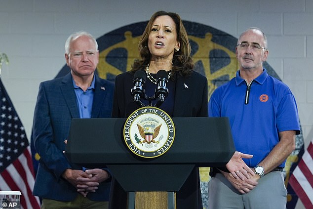 VP Kamala Harris called the 'perversion' of 'belittling people'