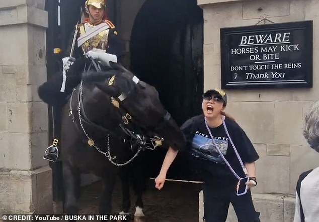 Around the same time Scheana was bitten, another tourist had a much more serious encounter with a King's Guard horse in July. The horse bit her arm, eliciting a scream