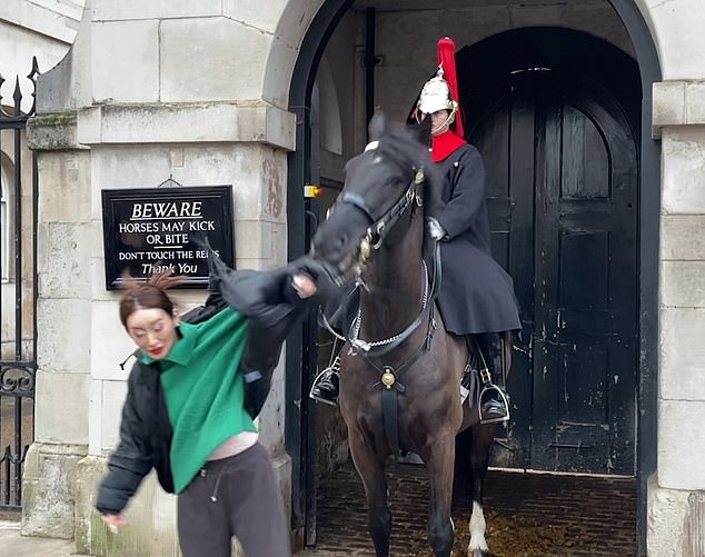 In one terrifying incident, a woman ignored the sign and touched the horse's face. It then bit her arm — which was encased in a black quilted coat sleeve — and pulled her back and forth before finally letting go