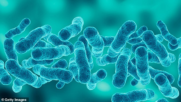 An update from the Victorian Department of Health said there have now been 100 confirmed and 10 probable cases up to July 26, mainly in adults over 40. Legionella bacteria are pictured