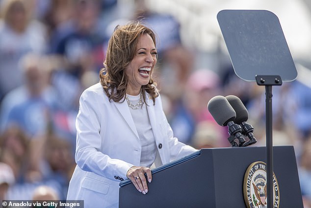 Vice President Kamala Harris speaks during her and Gov. Tim Walz's campaign rally in Wisconsin's High Country