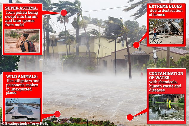 The chart above highlights additional health risks from hurricanes, according to experts. They include mental health issues from the damage, asthma from pollen being carried along, encounters with dangerous wildlife that is displaced, and water contamination that poses a serious health risk.