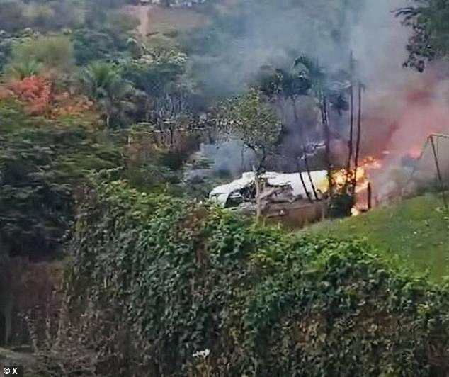 Dramatic video from the scene on Friday showed a Voepass plane falling from the sky as it crashed behind a grove of trees near homes, followed by a large plume of black smoke