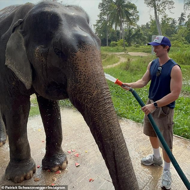 The Midnight Sun star showed off the beauty of Thailand as he posed with an elephant