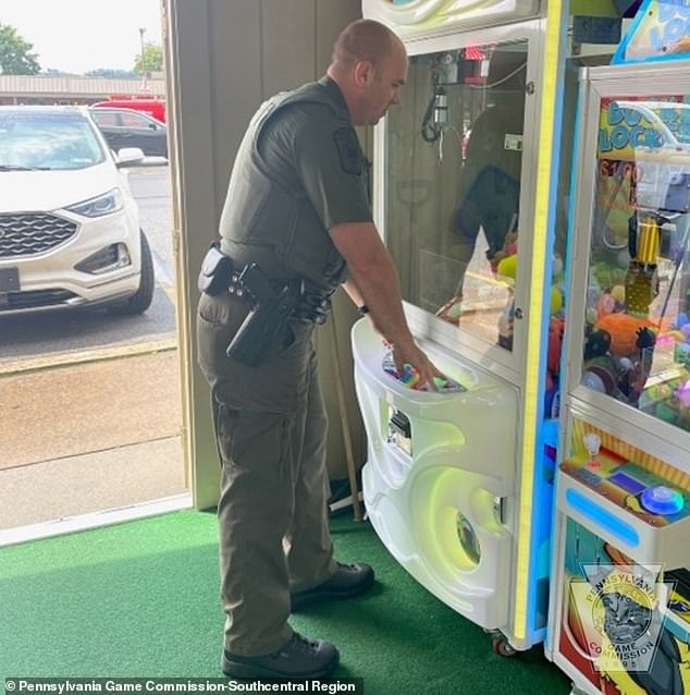 As state game warden Salvadore Zaffuto approached the machine, he saw the brown-colored animal running away and occasionally sticking its head out to 