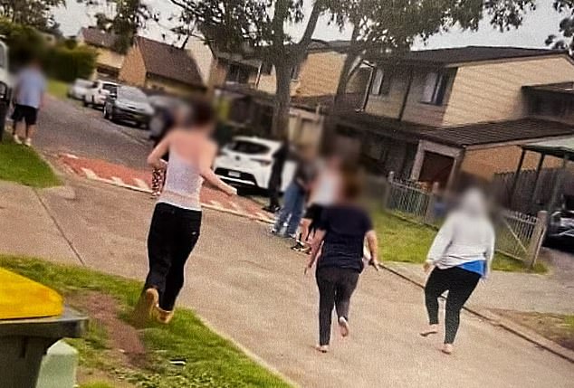 A total of teenage girls aged 13 to 17 have been charged in connection with the brawl, with three of those girls recently charged with murder.