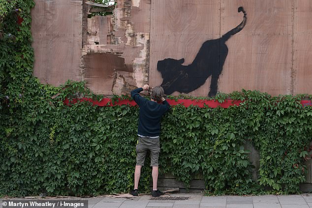 A passerby managed to capture the moment on camera, as the man appeared to use a hammer to get under the sheet of wood and make off with the undoubtedly valuable artwork