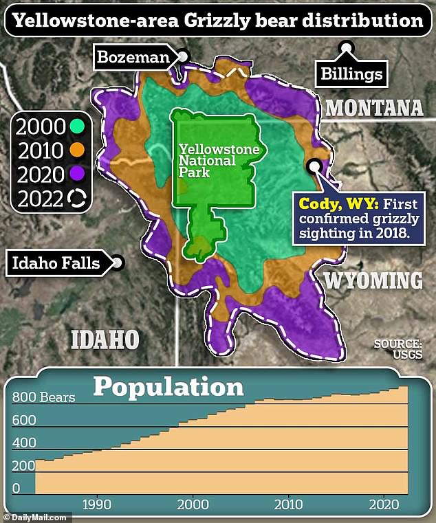 1723319808 69 How invasion of enormous wild beasts has left shocked residents