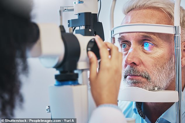 The vision loss caused by glaucoma cannot be reversed, but treatments can slow it down. Pictured: Stock photo