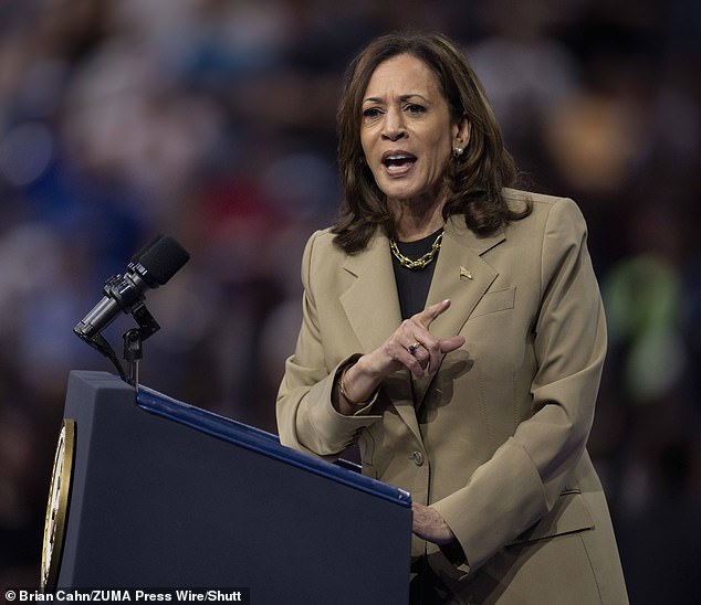 At a campaign rally in Arizona on Friday (pictured), Harris emphasized the growing importance of illegal immigration in border states