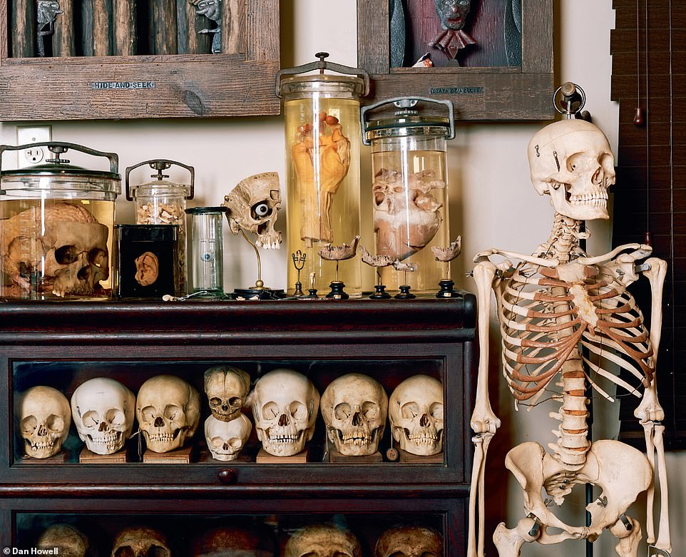 A lawyer's bookcase contains 25 skulls, plus wet specimens in jars - including a brain with a complete spinal cord, an eyeball and a dissected brain