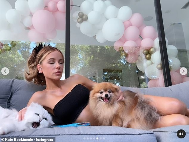 She tried to enlist the help of her cat Willow and dog Myf for the social media photo shoot, but the cat didn't enjoy it for long.