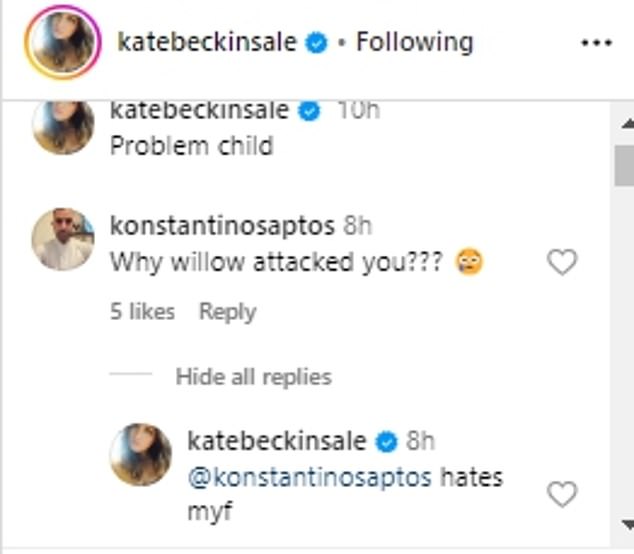 The Underworld star was then asked in the comments section of her post why Willow attacked her