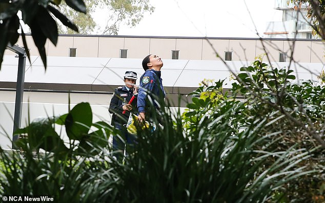 Officers investigate the scene of the double tragedy