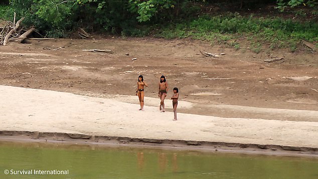 The tribe was seen in rare footage from June walking along the banks of a river in Peru's Madre de Dios region (June photo)