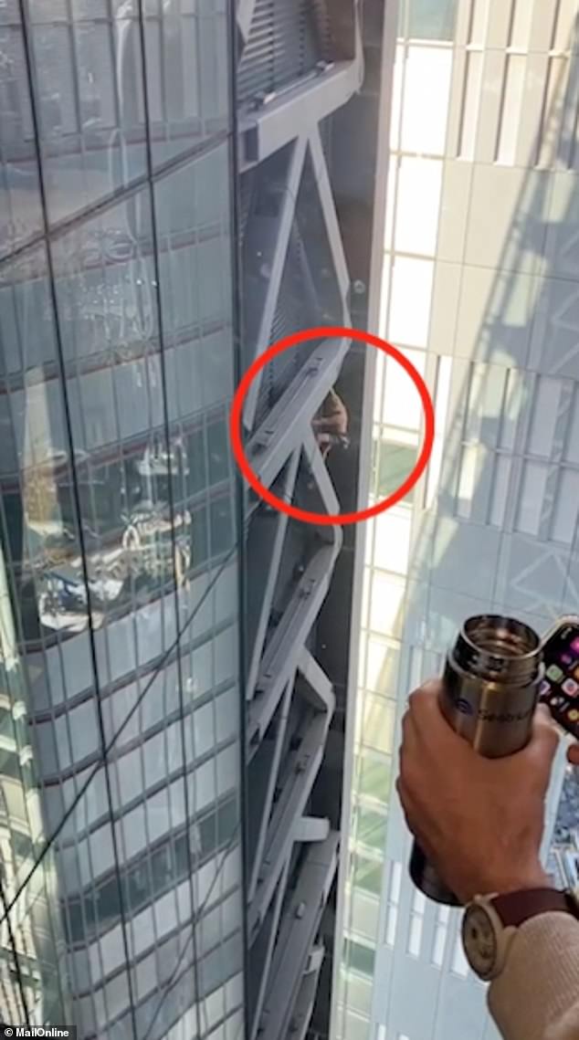 Stunned office workers watched in disbelief as Davis climbed the Cheesegrater in London in September 2023