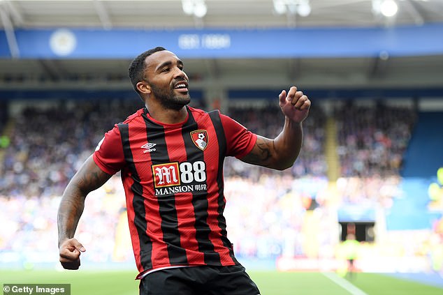 Callum Wilson is still a favourite among our Cherries voters despite his move to Newcastle