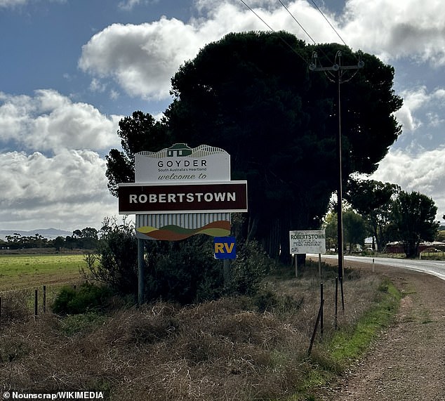 The possible UFO sighting was filmed at 8.45pm on Saturday night in Robertstown, South Australia (photo)