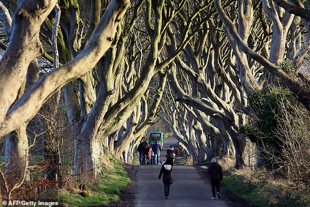 The Dark Hedges in County Antrim, Northern Ireland, were used for filming Game of Thrones