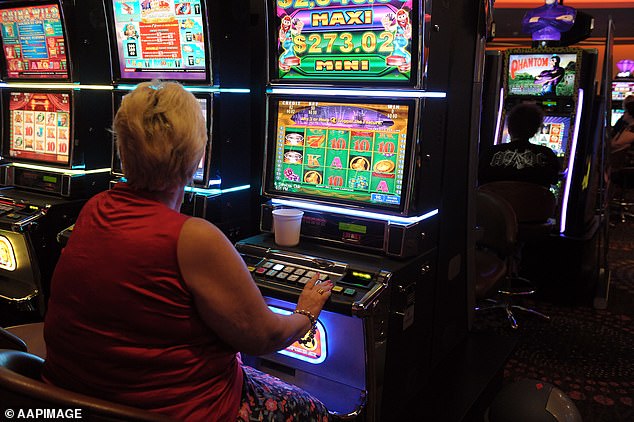 Alex Greenwich wants Premier Minns' proposed Anzac Day shopping ban to be extended to arcades (pictured)