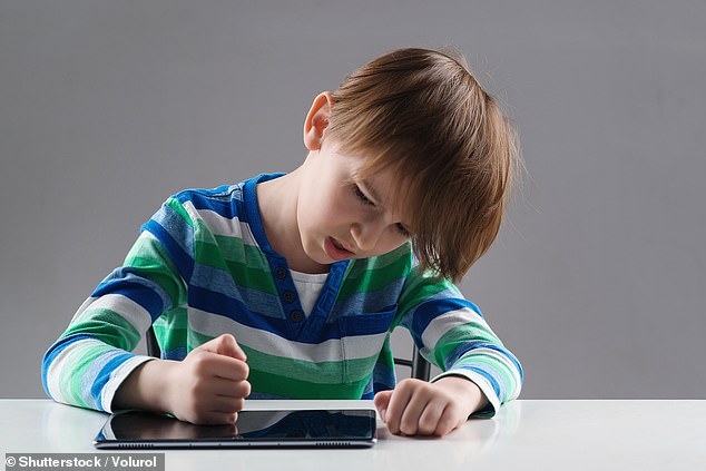 The researchers warn that tablet use in early childhood 'may contribute to a cycle that is damaging to emotional regulation' (stock image)