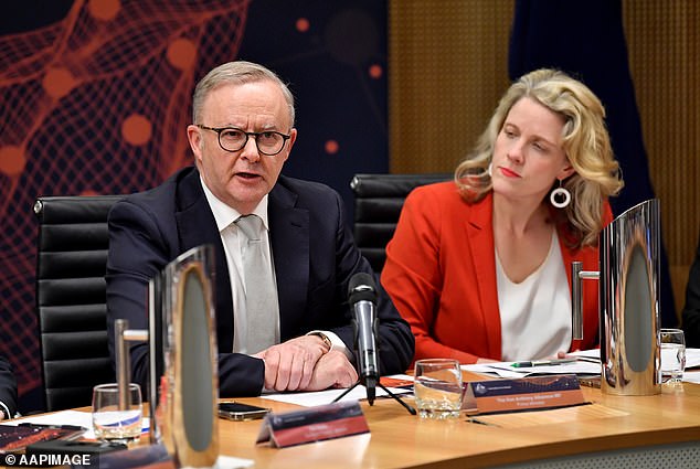 Mr Albanese (pictured left) is probably wondering when his new Housing Minister, Clare O'Neil (pictured right), will finally stop making mistakes.