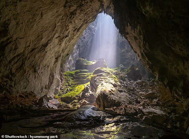 The cave has been confirmed by Vietnamese officials and Guinness World Records as the largest in the world. In 2012, it was stated that the cave is 200 meters high, 150 meters wide and 'at least' 6.5 kilometers long.