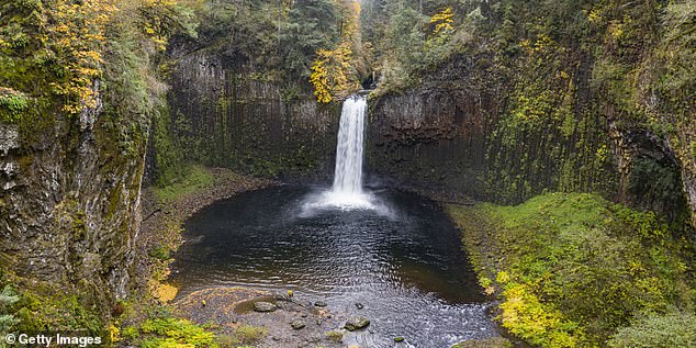 She is also the first diver to ever attempt a jump from this location. Photographer Steven Donovan captured the stunning video in an Instagram video shared in July