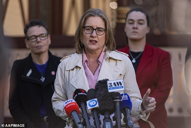 Premier Jacinta Allan has unveiled the government's plans to overhaul the state's bail laws